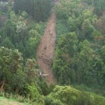 Busunfall auf Sao Miguel Busunfall auf Sao Miguel