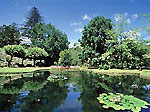 Park-Tour Sao Miguel