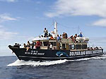 Bootsausflug Sao Miguel