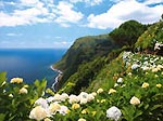 Best Trails Sao Miguel + Santa Maria