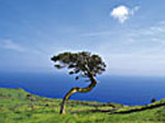 Wandern und Erholen - Best of