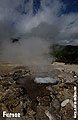 Furnas
