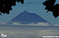 Pico