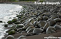 Praia do Almoxarife