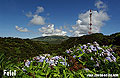 Faial