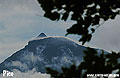 Pico