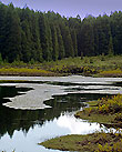 Lagoa do Canario