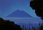 Pico