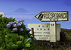 Wegweiser zum Gipfel