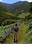 Sao Jorge
