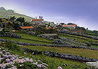 Sao Miguel
