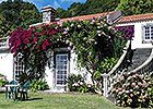 Rustic Villa Azores