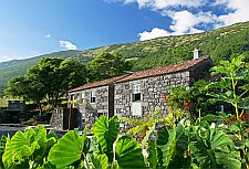 Casa Flor da Ribeira