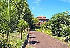 Estrela do Atlantico