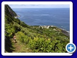 rom20070802_125503_3000px