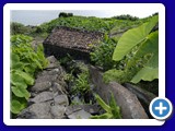rom20070804_175231_3000px