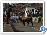 Tourada a Corda