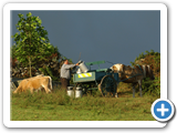 Landwirtschaft