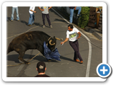 Tourada a Corda