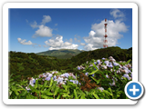 im Westen von Faial