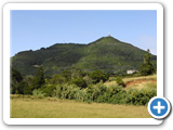 Pico Alto