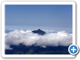 Pico