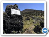Pico