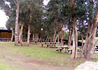 Parque de Campismo do Carapacho