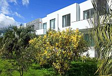 Apartments Acorsonho